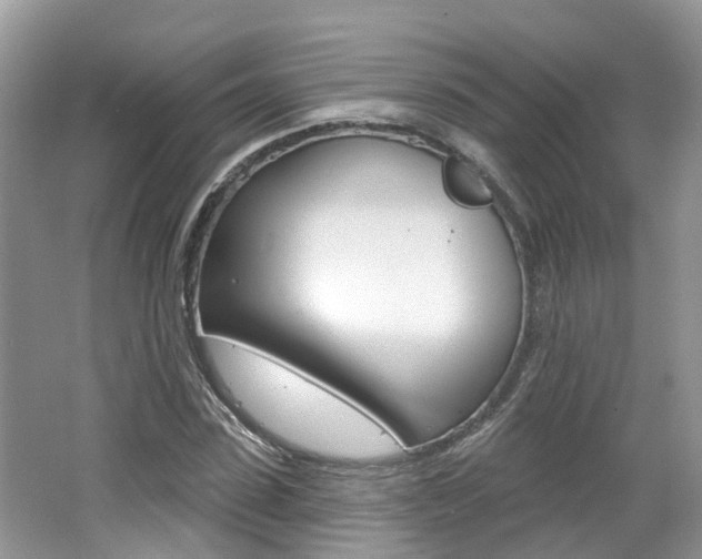X0000062140923200512091013