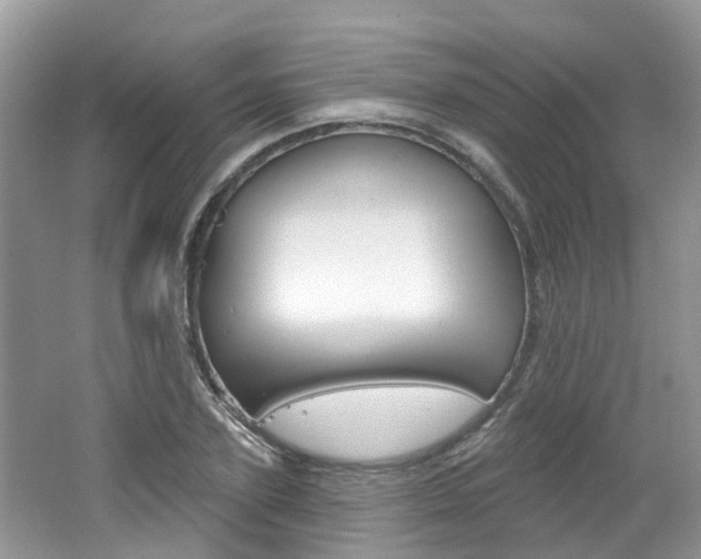 X0000062140931200512091013