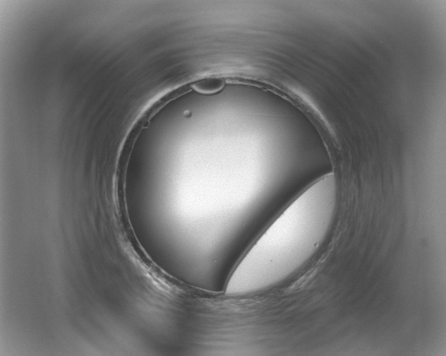 X0000062140932200512091013