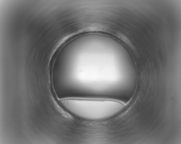 X0000062140934200512091013
