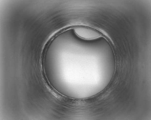 X0000062140935200512091013
