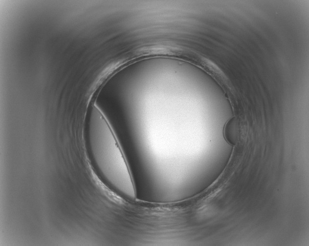 X0000062140938200512091013