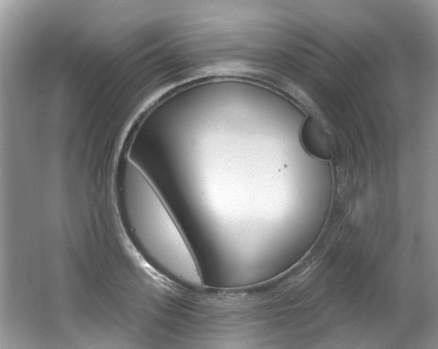 X0000062140939200512091013