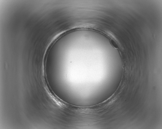 X0000062140940200512091013