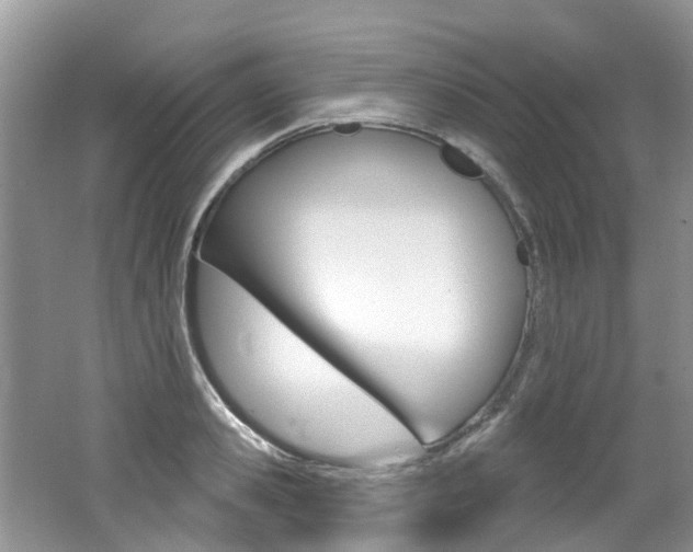 X0000062140941200512091013