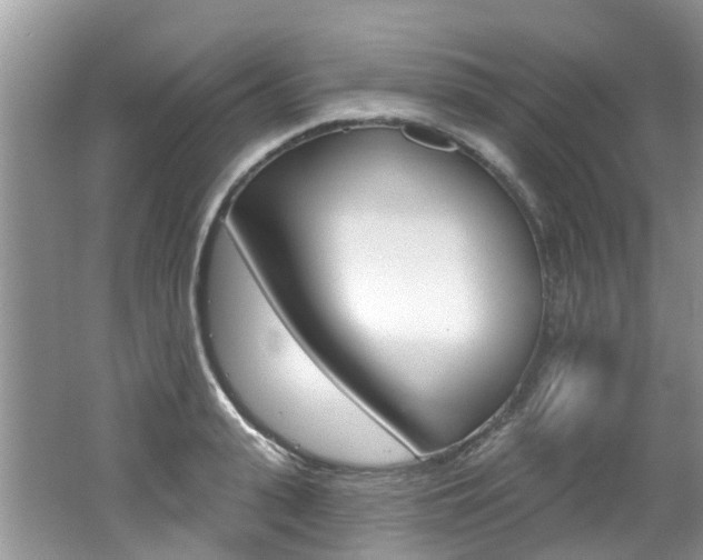 X0000062140943200512091013
