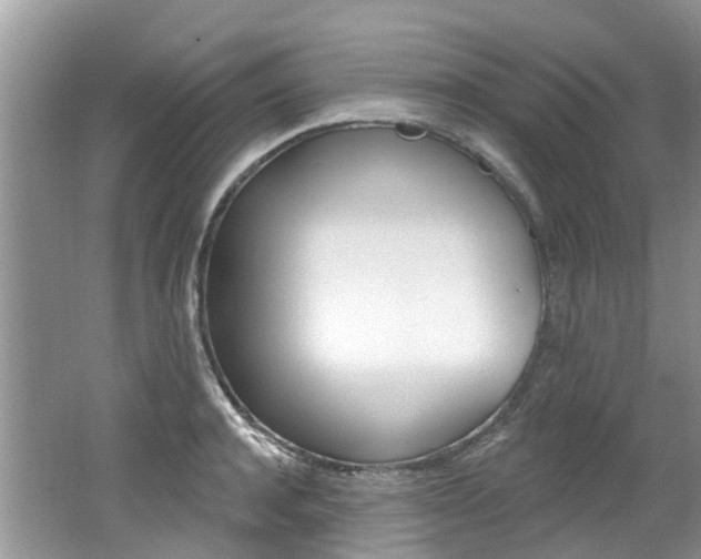 X0000062140944200512091013