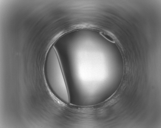 X0000062140946200512091013