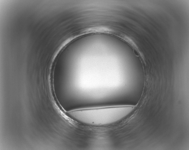 X0000062140947200512091013