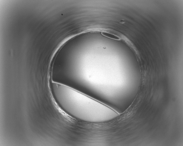 X0000062140955200512091013