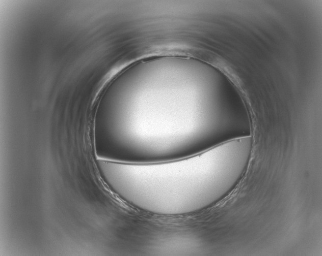X0000062140960200512091014
