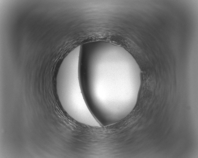 X0000062140961200512091013