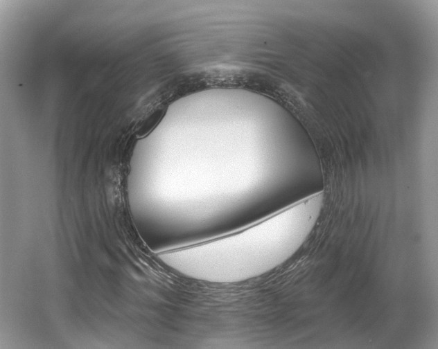 X0000062140964200512091013