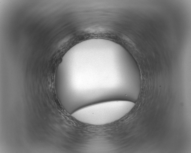 X0000062140966200512091013