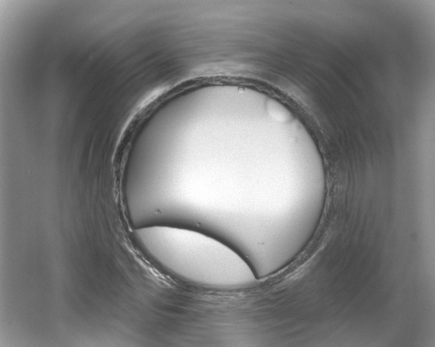 X0000062140974200512091012