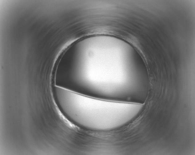X0000062140995200512091012