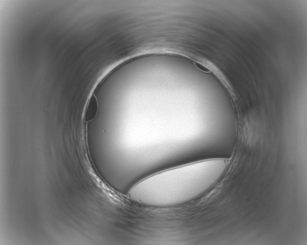 X0000062141004200512091012