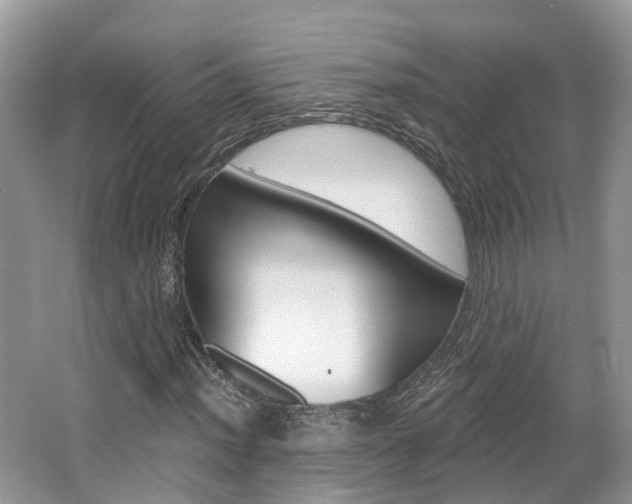 X0000062141012200512091011