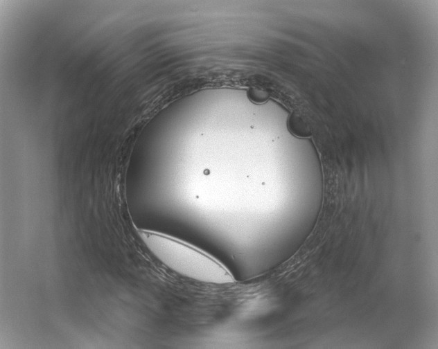 X0000062141013200512091011