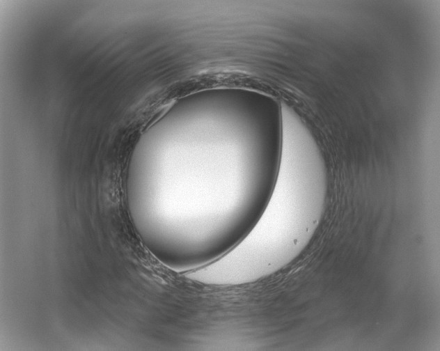 X0000062141014200512091011