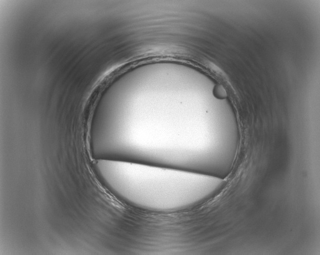 X0000062141019200512091011