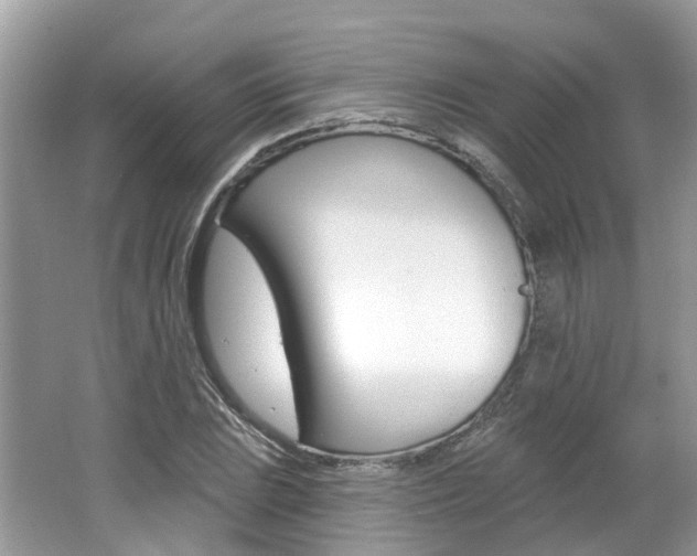X0000062141023200512091011
