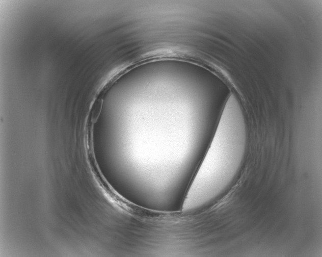 X0000062141034200512091012