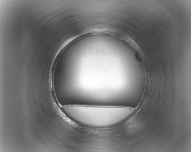 X0000062141036200512091012