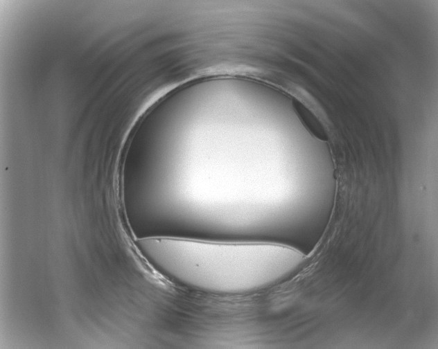 X0000062141044200512091012