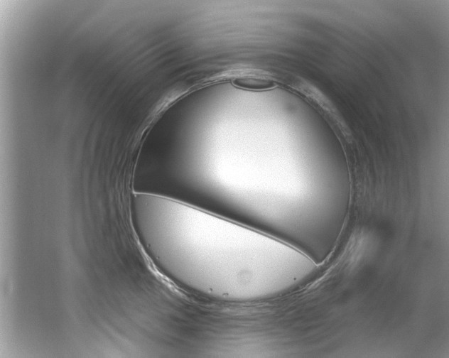 X0000062141049200512091012