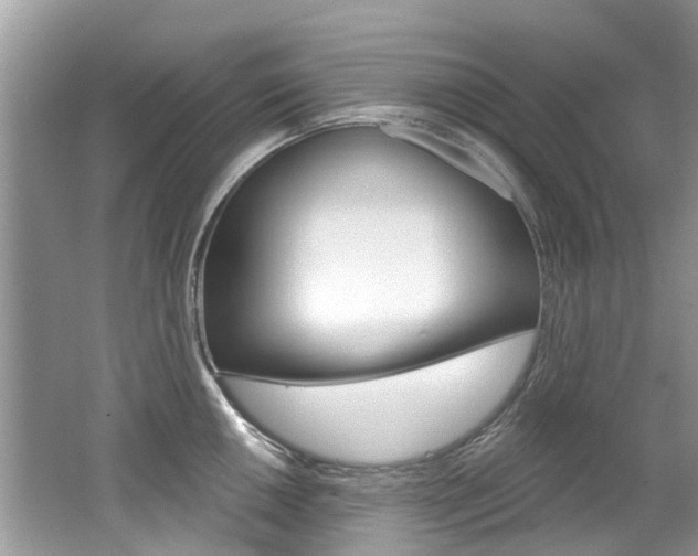 X0000062141050200512091012