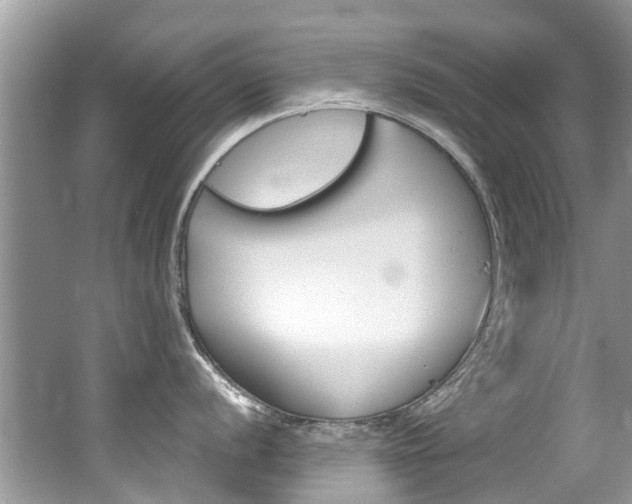X0000062141056200512091012