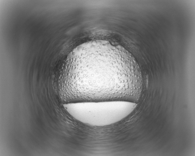 X0000062141059200512091011