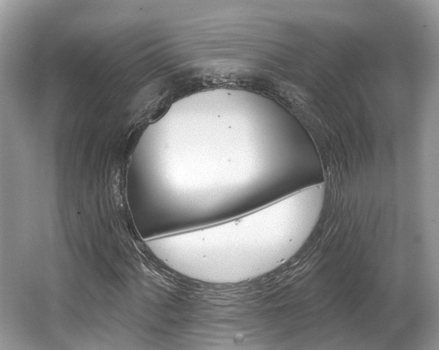 X0000062141060200512091011