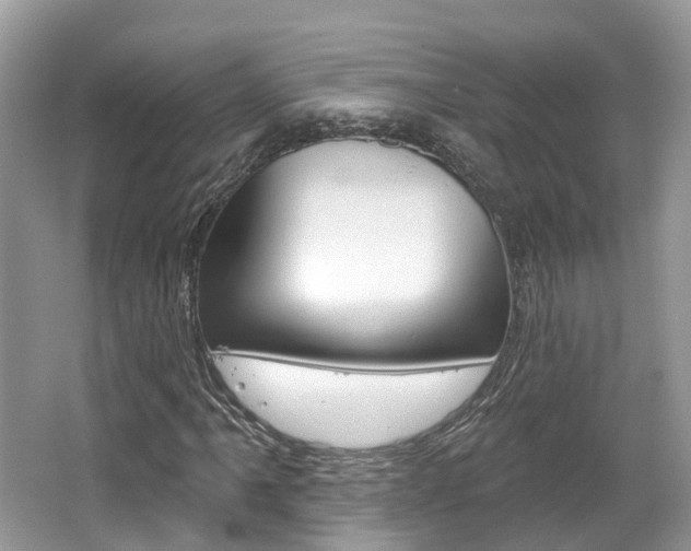 X0000062141061200512091011