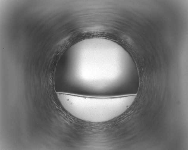 X0000062141062200512091011