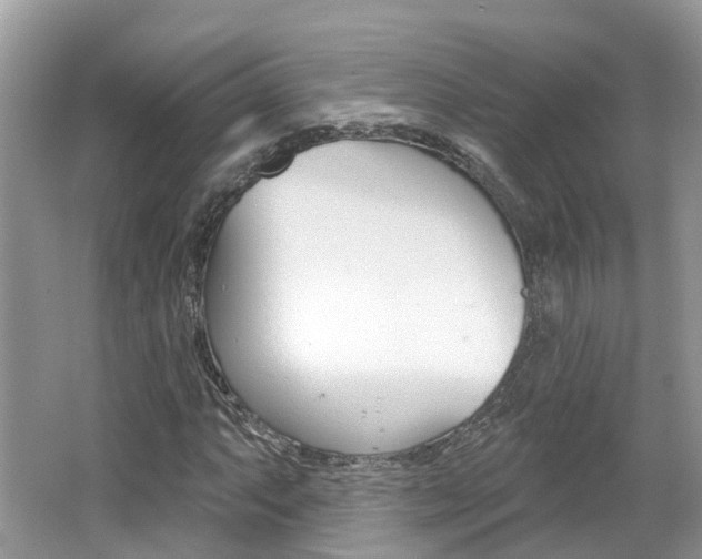 X0000062141063200512091011