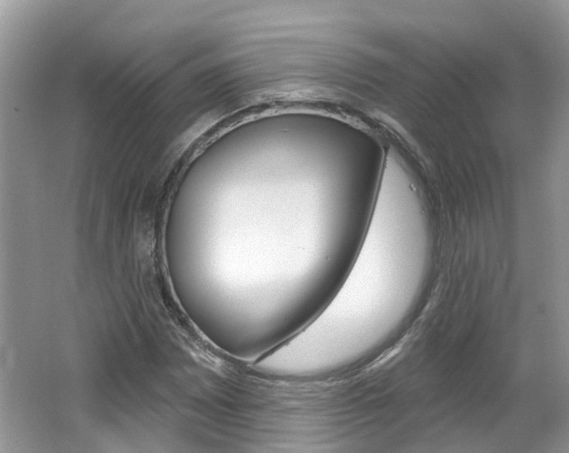 X0000062141065200512091011