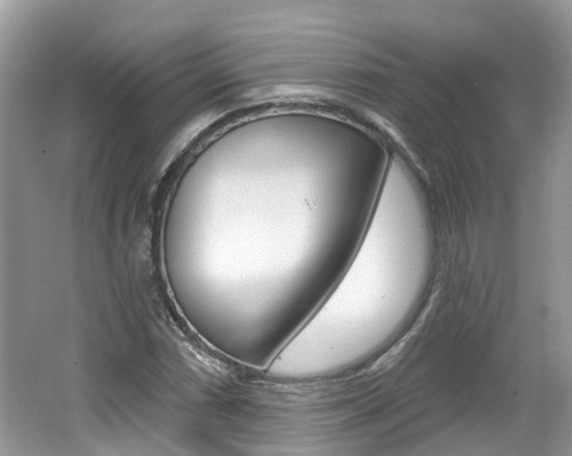 X0000062141066200512091011