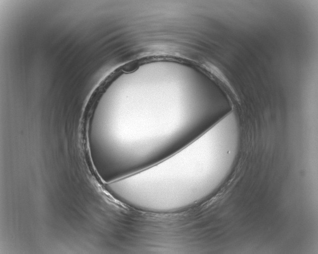 X0000062141068200512091011