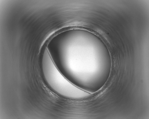 X0000062141069200512091011