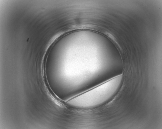 X0000062141082200512091010
