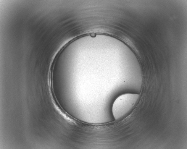 X0000062141084200512091010