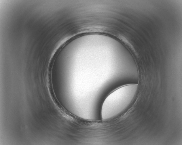 X0000062141085200512091010