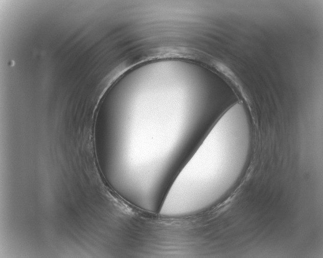 X0000062141089200512091010
