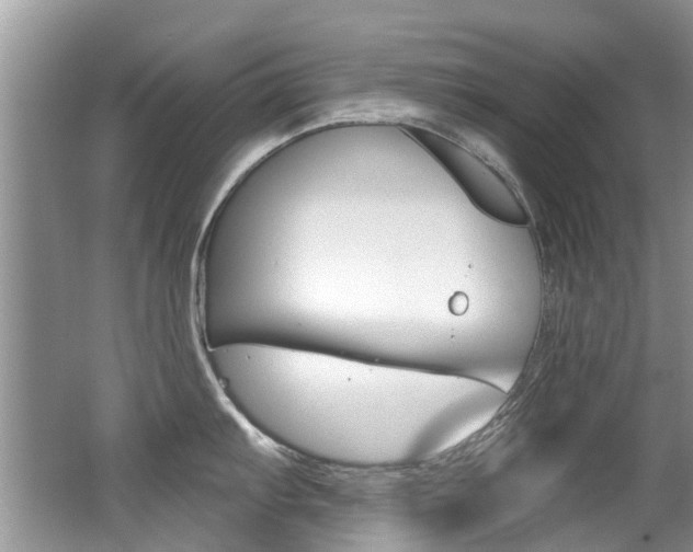 X0000062141103200512091010