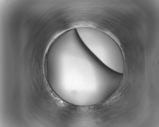 X0000062141104200512091010