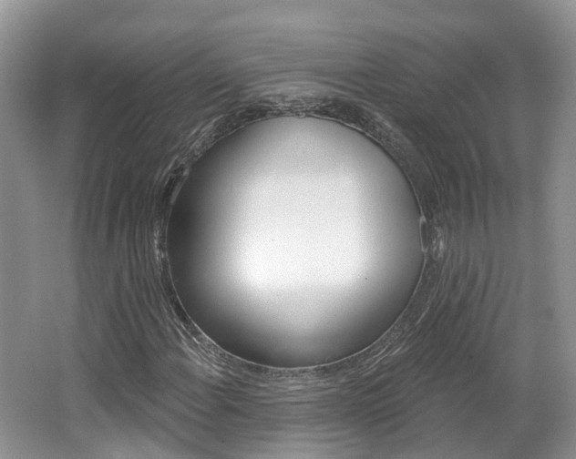 X0000062141108200512091009