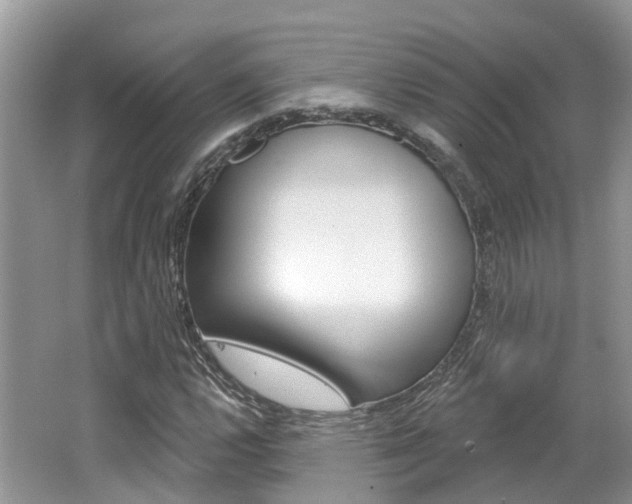 X0000062141112200512091009