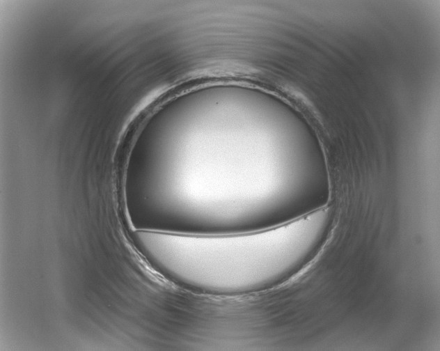 X0000062141114200512091009